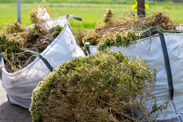 Best Junk Removal and Recycling  in Watertown, TN